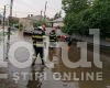 VIDEO Încălzirea globală a provocat inundații în Tecuci și a dărâmat un copac peste un drum comunal