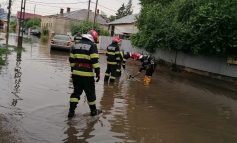 VIDEO Încălzirea globală a provocat inundații în Tecuci și a dărâmat un copac peste un drum comunal