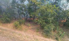 VIDEO Incendiu uriaș la intrarea în orașul Brăila. Polițiștii au deviat circulația pe șosea, iar pompierii au chemat în ajutor o șenilată