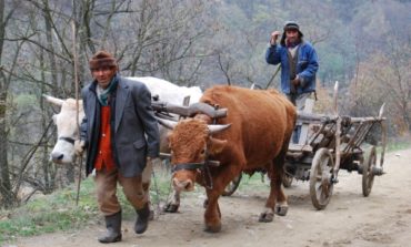 1 h şi 17 minute, cu maşina, pe ruta Selgros - Micro 39