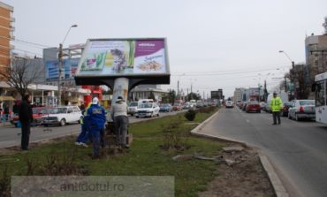 Veşti proaste pentru cîinii de pe strada Brăilei. Primăria le dărîmă panourile.