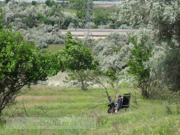 La relaxare pe șezlong, privind fumul de la Combinat (foto)